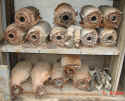exhausttrs-3.jpg (159828 bytes)